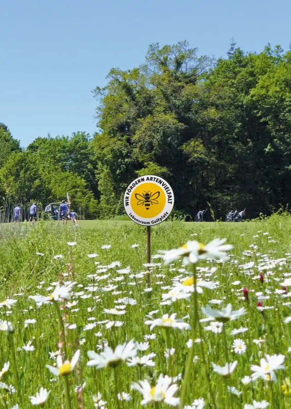 Lebensraum Golfplatz - Aufmacherbild_5zu7