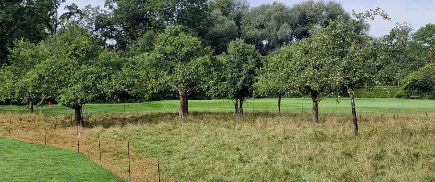 Die Obstbäume werden jährlich fachgerecht geschnitten, das Obst in der Gastronomie verarbeitet
