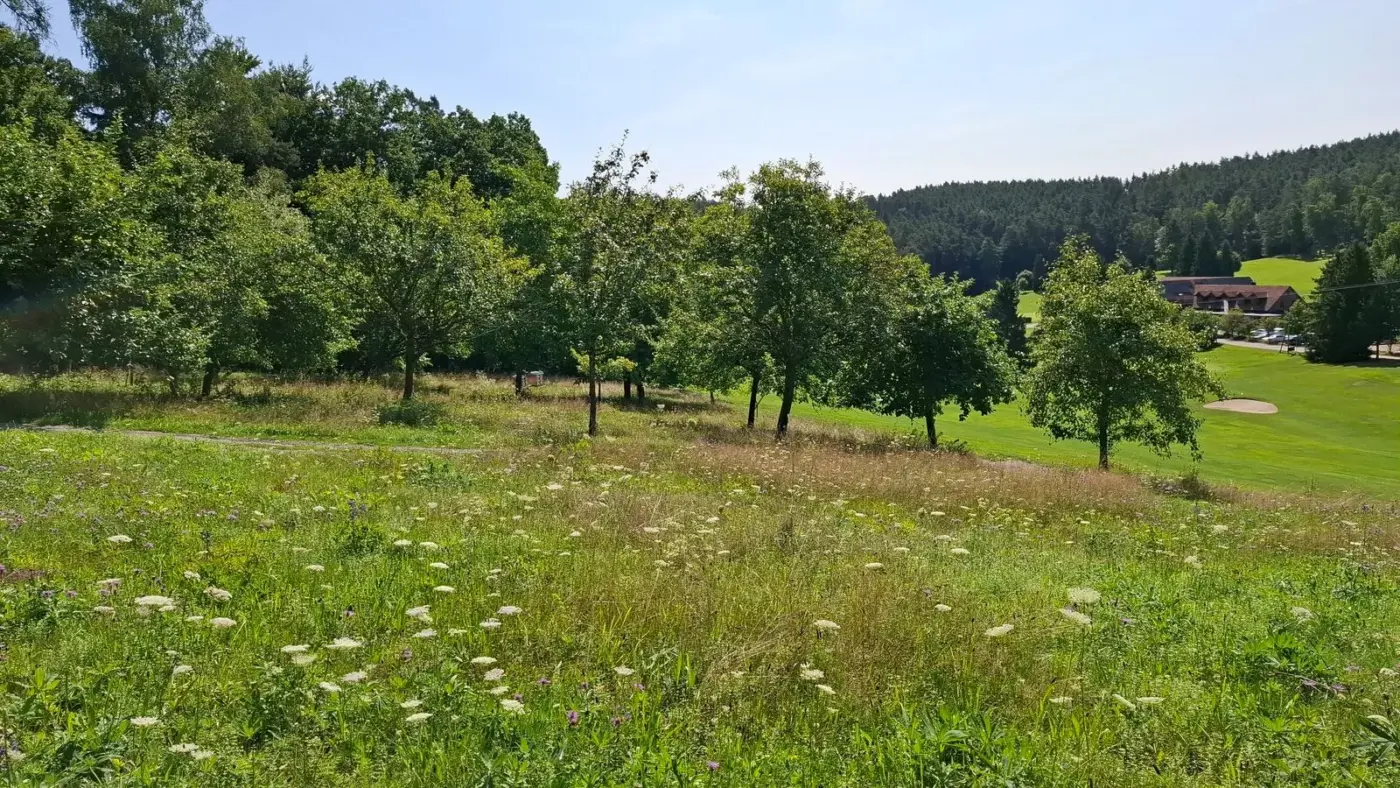 Kathrin Hawelka / LBV